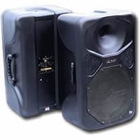 Hz HE 300 speaker